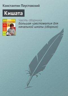 Константин Паустовский - Кишата