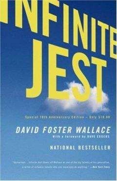 David Wallace - Infinite jest