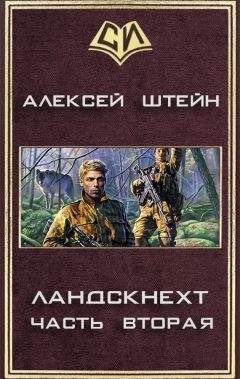 Леонид Андронов - Принц из ниоткуда. Книга 2