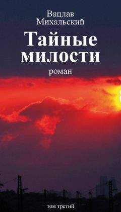 Вацлав Михальский - Собрание сочинений в десяти томах. Том девятый. Ave Maria