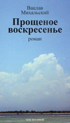 Вацлав Михальский - Семнадцать левых сапог. Том второй