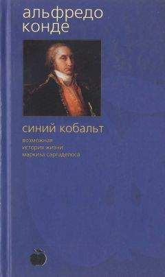 Руй Кастро - Рио-де-Жанейро: карнавал в огне