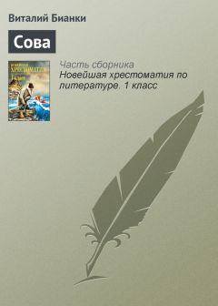 Виталий Бианки - Сова