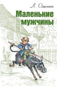 Луиза Олкотт - Роза и семь братьев