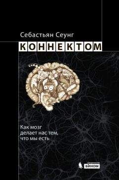 Стефан Гийанэй - Голодный мозг. Как перехитрить инстинкты, которые заставляют нас переедать