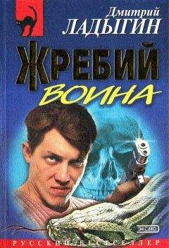 Дмитрий Ладыгин - Жребий воина