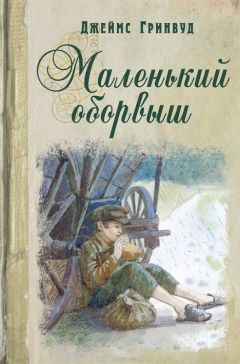 Якоб и Вильгельм Гримм - Сказки братьев Гримм. Том 2