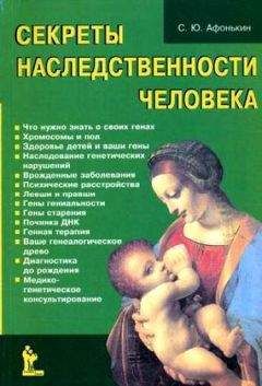 Александр Белов - Антропологический детектив. Боги, люди, обезьяны...