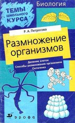 Андрей Куприянов - Арабески ботаники