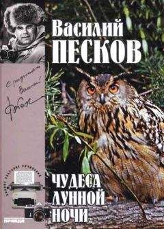 Василий Песков - Полное собрание сочинений. Том 17. Зимние перезвоны