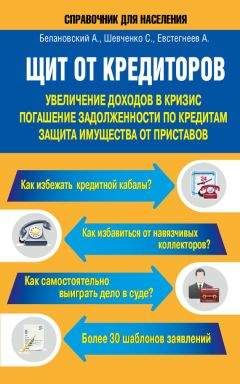 Светлана Шевченко - Щит от кредиторов. Увеличение доходов в кризис, погашение задолженности по кредитам, защита имущества от приставов