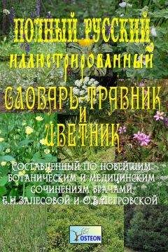 В. Зинченко - Большой психологический словарь