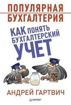 Виктор Стражев - Теория бухгалтерского учета
