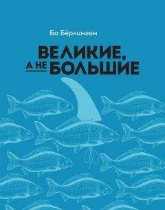 Терри Бэкон - Элементы власти: уроки лидерства и влияния