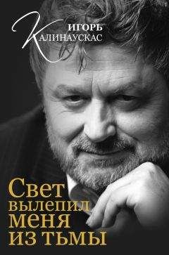 Сергей Алексеев - Игорь Святославич