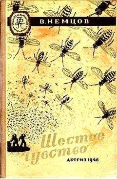 Владимир Немцов - Аппарат 