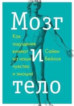 Стаффорд Бир - Мозг фирмы