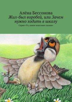 Алена Бессонова - Удивительные путешествия по реке времени. Книга вторая. Неожиданные встречи