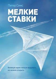 Майкл Рэй - Высшая цель. Секрет, который поддерживает вас каждую минуту