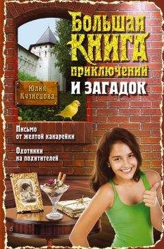 Анастасия Дробина - Большая книга приключений кладоискателей (сборник)