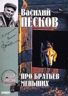 Василий Песков - Полное собрание сочинений. Том 21. Мир на ладони