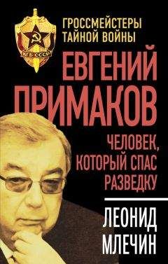 Евгений Именитов - Освобождение России. Программа политической партии