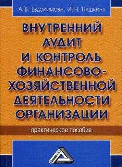 Елена Итыгилова - Контроль качества аудиторской деятельности