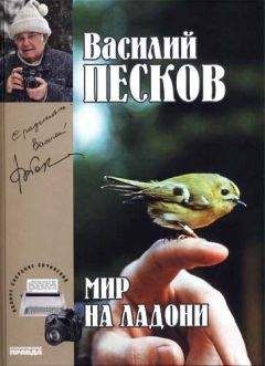 Василий Белов - Кануны