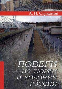 Валерий Карышев - Криминальная история России. 1989—1993. Люберецкие. Парни из Солнцева