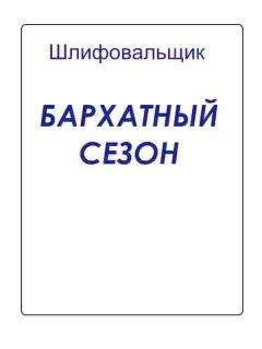 В. Шлифовальщик - ЛОЖКА ДЕГТЯ