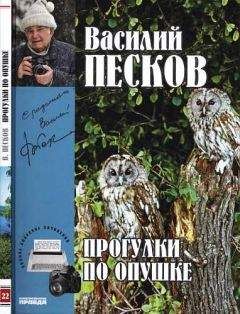 Василий Песков - Полное собрание сочинений. Том 21. Мир на ладони