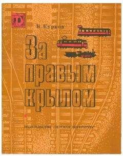 Виталий Курков - За правым крылом