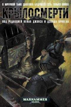 Юрий Стукалин - Звездный штурмовик Ил-XXII. Со Второй Мировой - на Первую Звездную