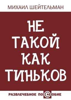 Юрий Пышнюк - Притча о большом мешке денег. Бизнес-книга. Часть первая. Каменщик