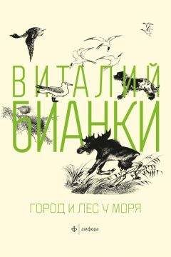 Виталий Бианки - Лесная газета. Сказки и рассказы (сборник)