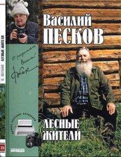 Роальд Даль - Дорога в рай