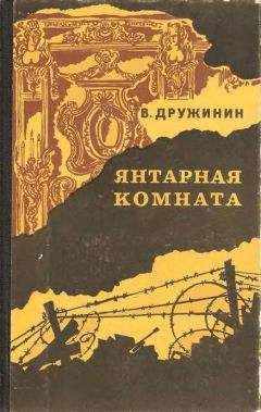 Владимир Дружинин - Тропа Селим-хана