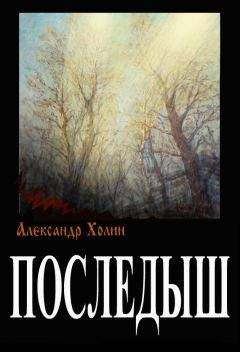 Миккель Биркегор - Тайна «Libri di Luca»