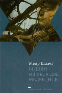 Александр Крыласов - Дневник нарколога