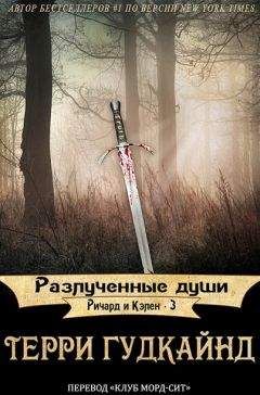 Терри Гудкайнд - Восьмое Правило Волшебника, или Голая империя, книга 2