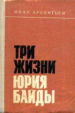Василий Гузик - Не выходя из боя