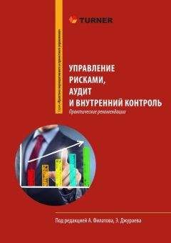 Александр Филатов - Управление рисками, аудит и внутренний контроль