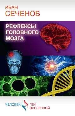 Борис Диденко - Цивилизация каннибалов