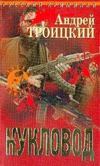 Андрей Троицкий - Лобовое столкновение