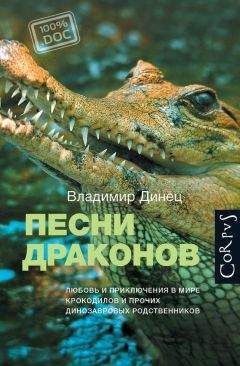 Владимир Динец - Азия на халяву