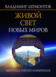 Владимир Лермонтов - Коды новых измерений. Матрицы Всепроницающей Любви