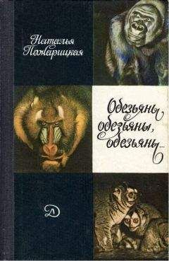 Николай Плавильщиков - Гребень буйвола