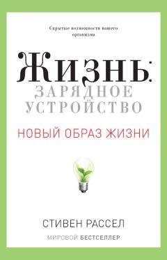 Дарин Олиен - Энергия в тарелке: Пять источников суперсилы