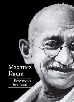 Павел Басинский - Лев в тени Льва. История любви и ненависти