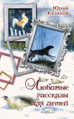 Анне Вестли - Папа, мама, бабушка и восемь детей в лесу.